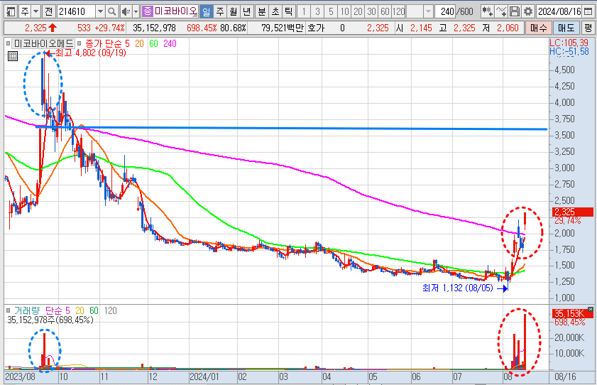 미코바이오메드 일봉 차트 분석