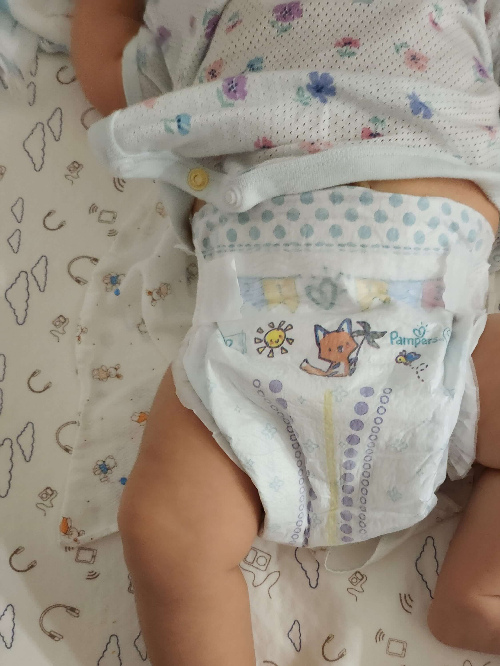 펨퍼스-베이비드라이-2단계