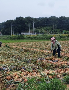 2025 농업직불금 지급시기 신청방법 