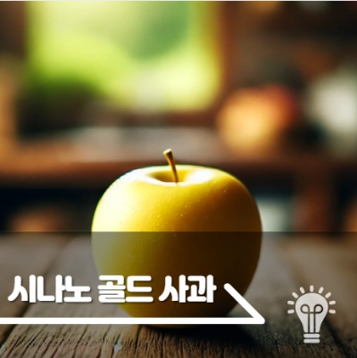 시나노 골드 사과