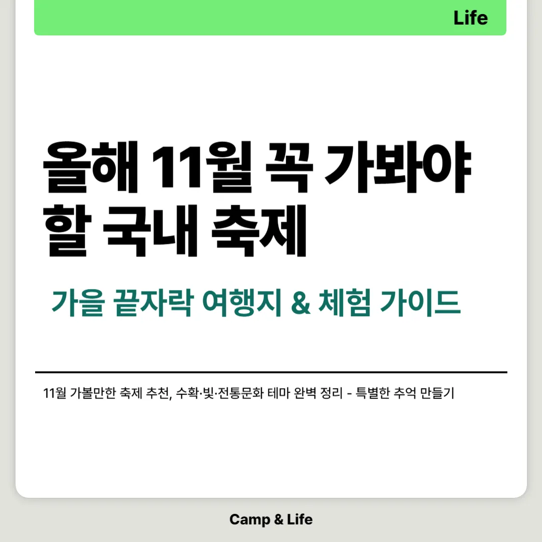 올해 11월 꼭 가봐야 할 국내 축제