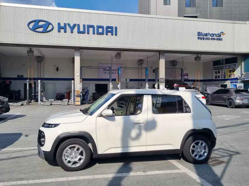 BMS 및 ICCU 소프트웨어 업데이트를 위해 방문한 블루핸즈입니다.