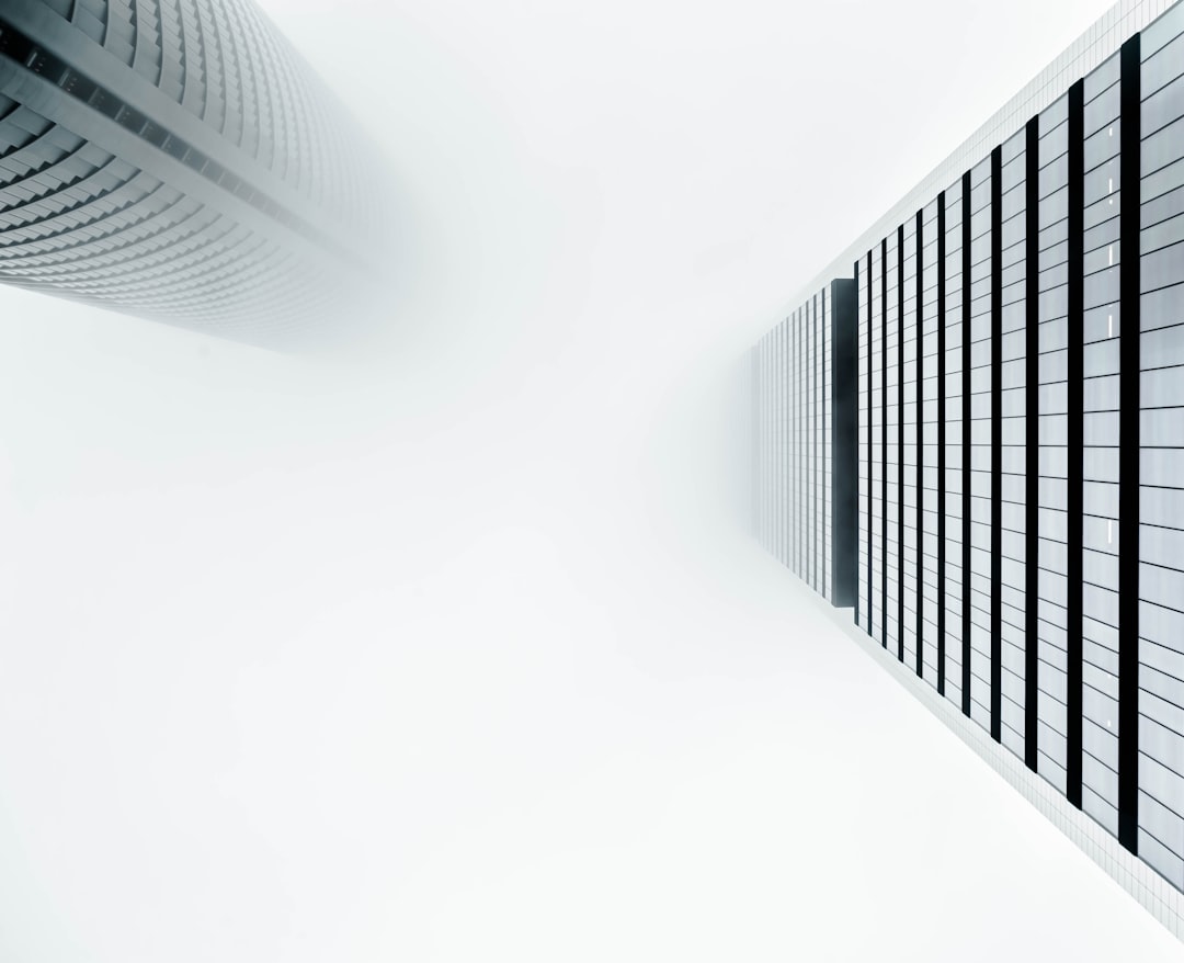 Perspective