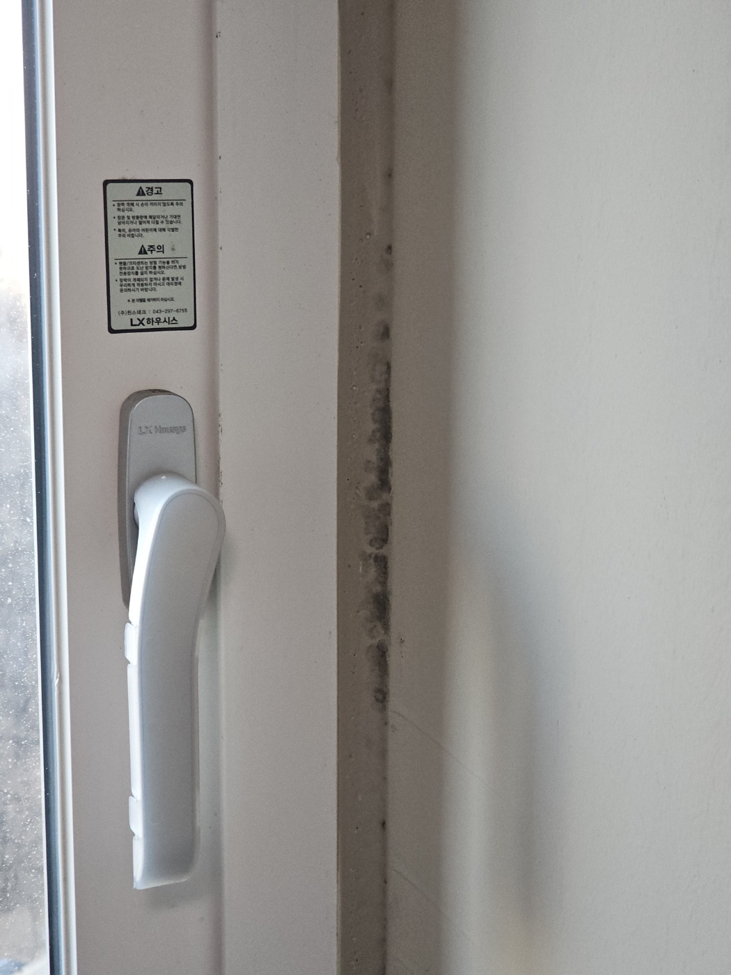 세탁실 곰팡이 제거｜닥터클린 곰팡이제거제/방지제 내돈내산 사용기