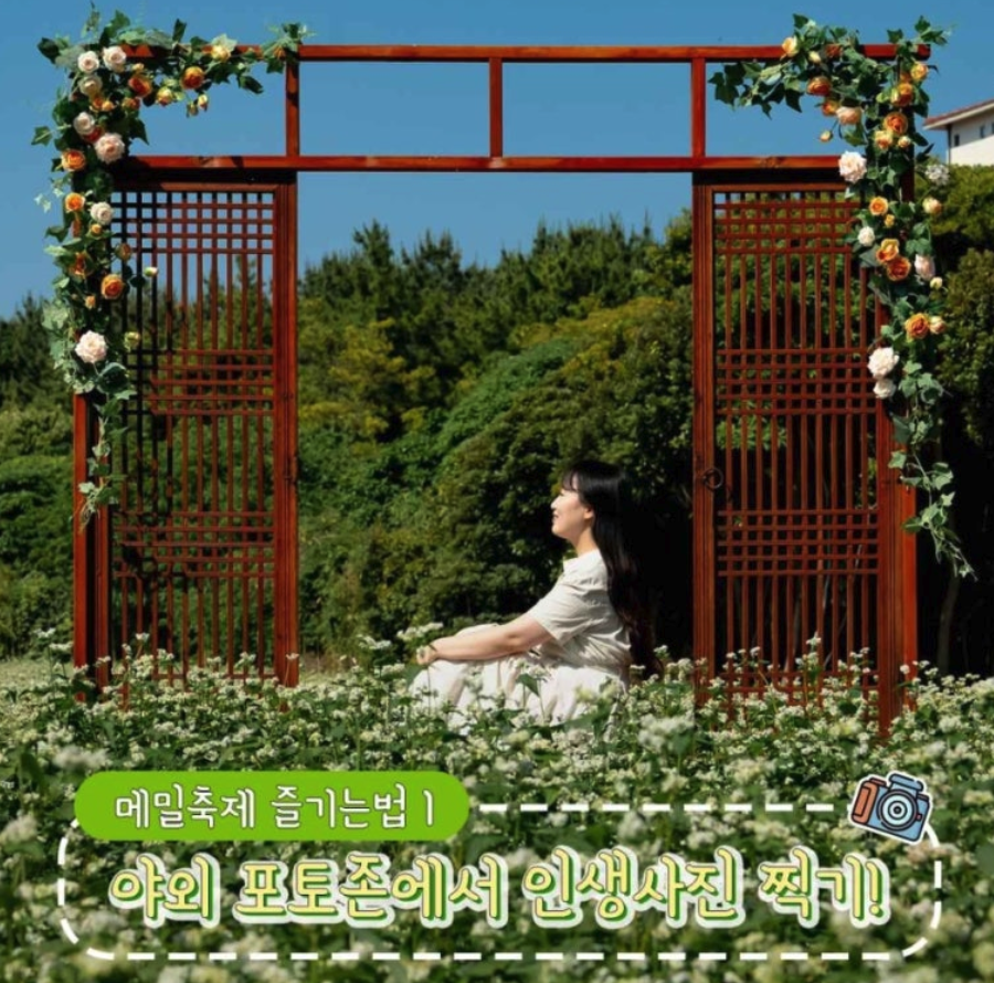 제주민속촌 메밀꽃축제 일정 체험행사 즐길거리 근처 맛집 주차 정보