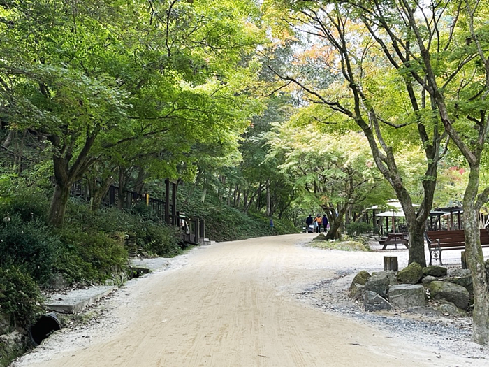강천산 군립공원의 맨발걷기