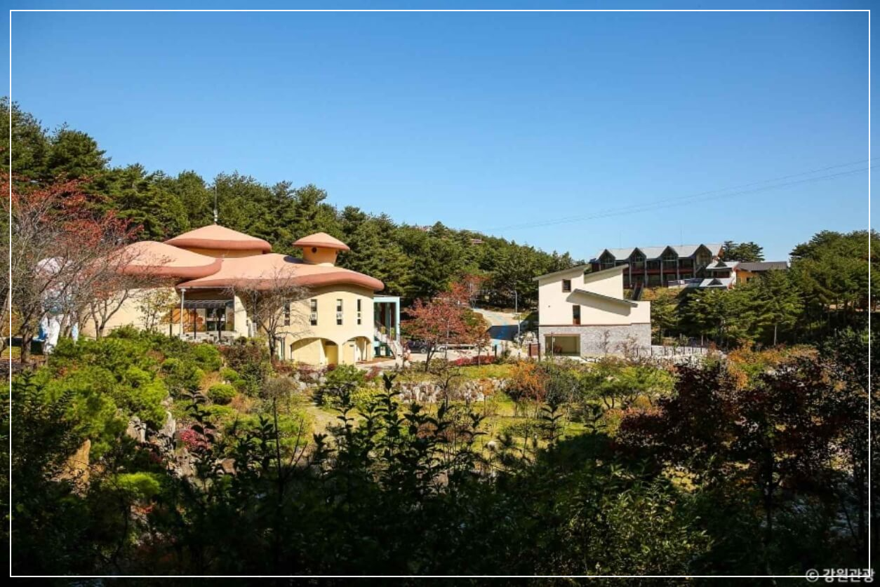 양양 가볼만한곳 베스트10 송이밸리 자연휴양림