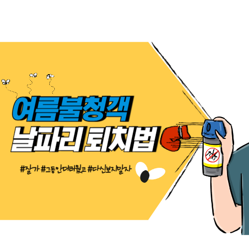 집 안 날파리 확실히 없애는 날파리 퇴치법