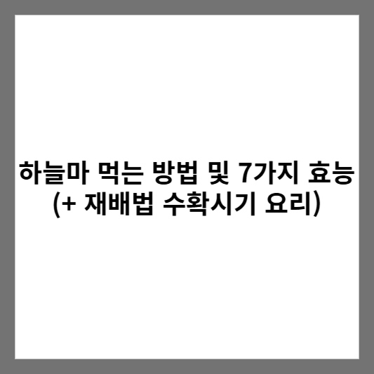 하늘마 먹는 방법 및 7가지 효능 (+ 재배법 수확시기 요리)
