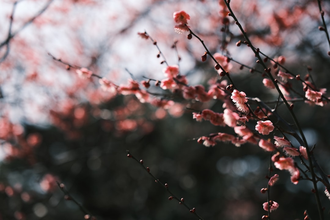 February