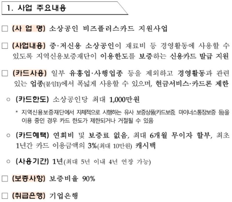 비즈플러스카드 사업내용