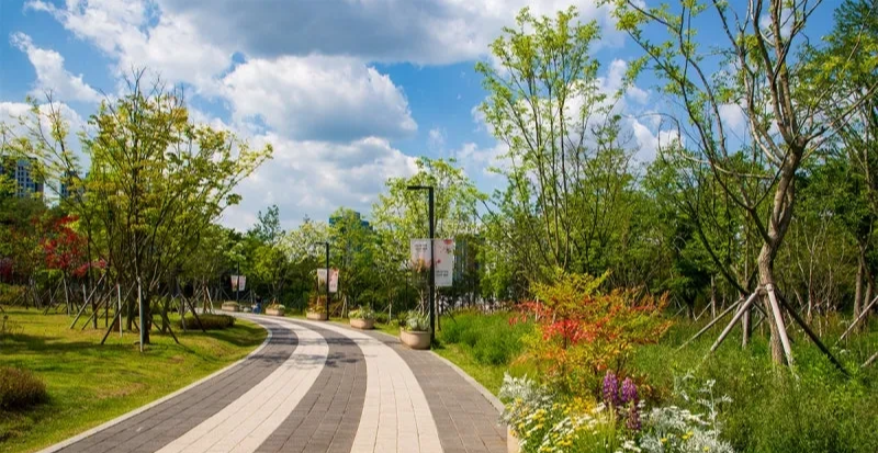 수원 반려견 산책 어디가 좋을까? 겨울에도 걷기 좋은 명소 추천