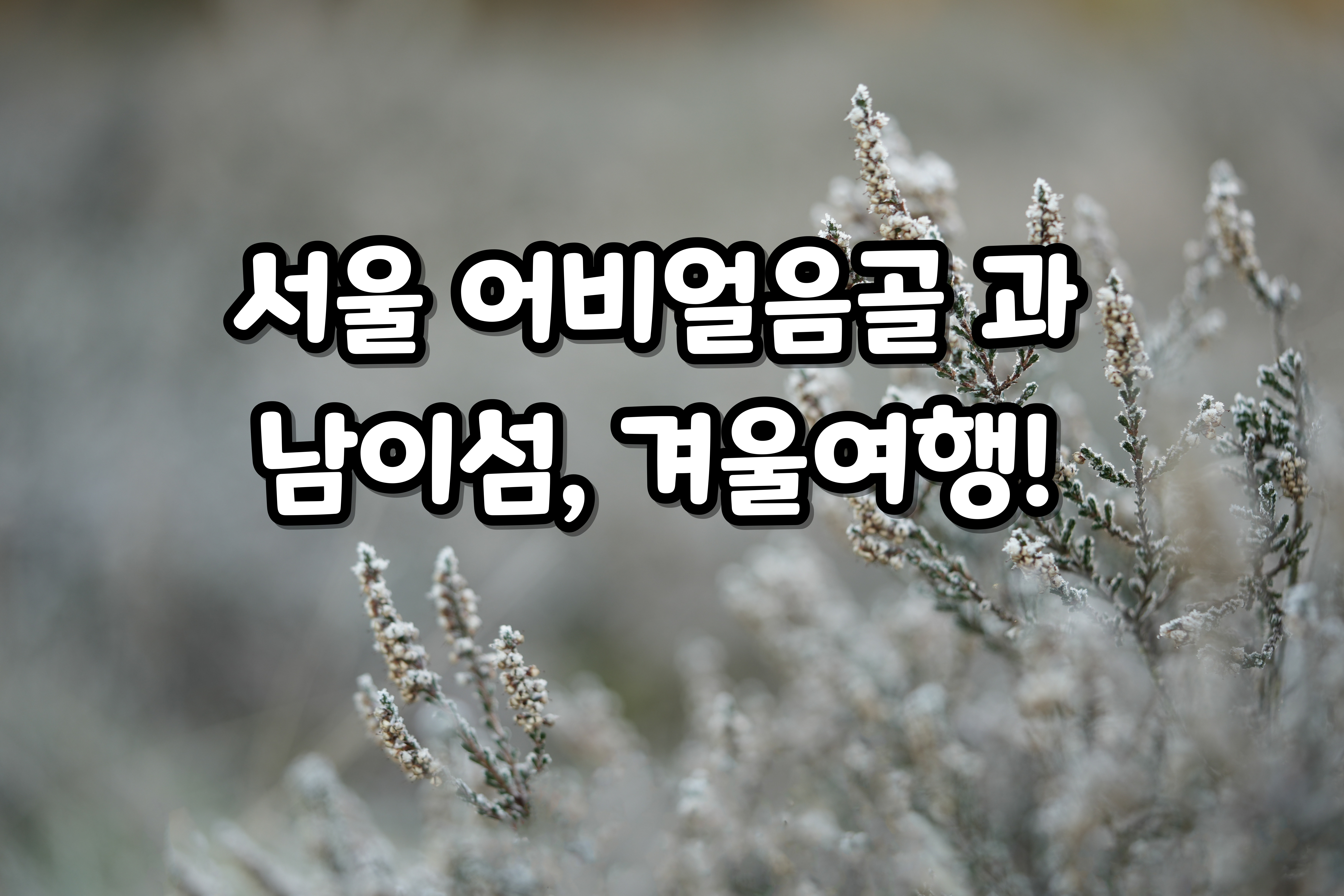 서울-어비얼음골- 과- 남이섬,- 겨울여행!