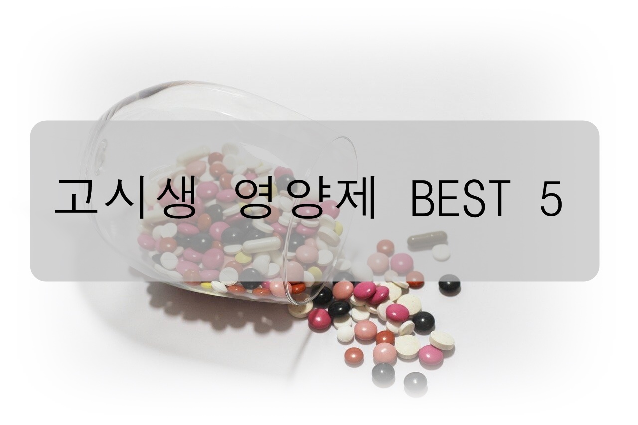고시생 영양제 BEST 5