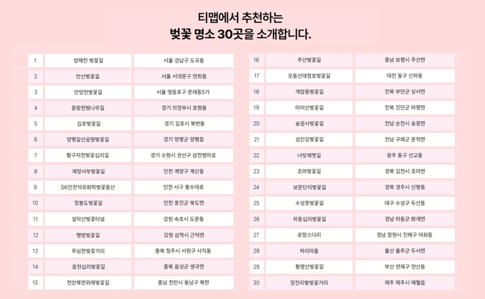 2026 티맵 선정: 권역별 대표 벚꽃 명소 TOP 30 핵심 요약표