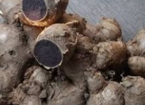 파비플로라 효능 부작용