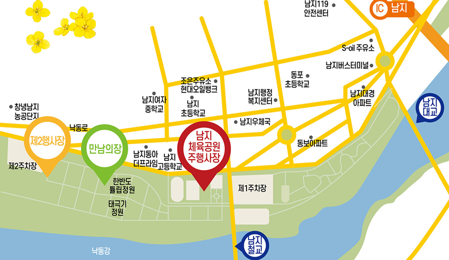 창녕 낙동강 유채꽃 축제