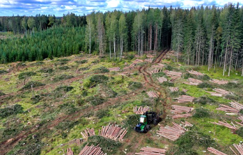 국립자연휴양림-예약방법-성수기