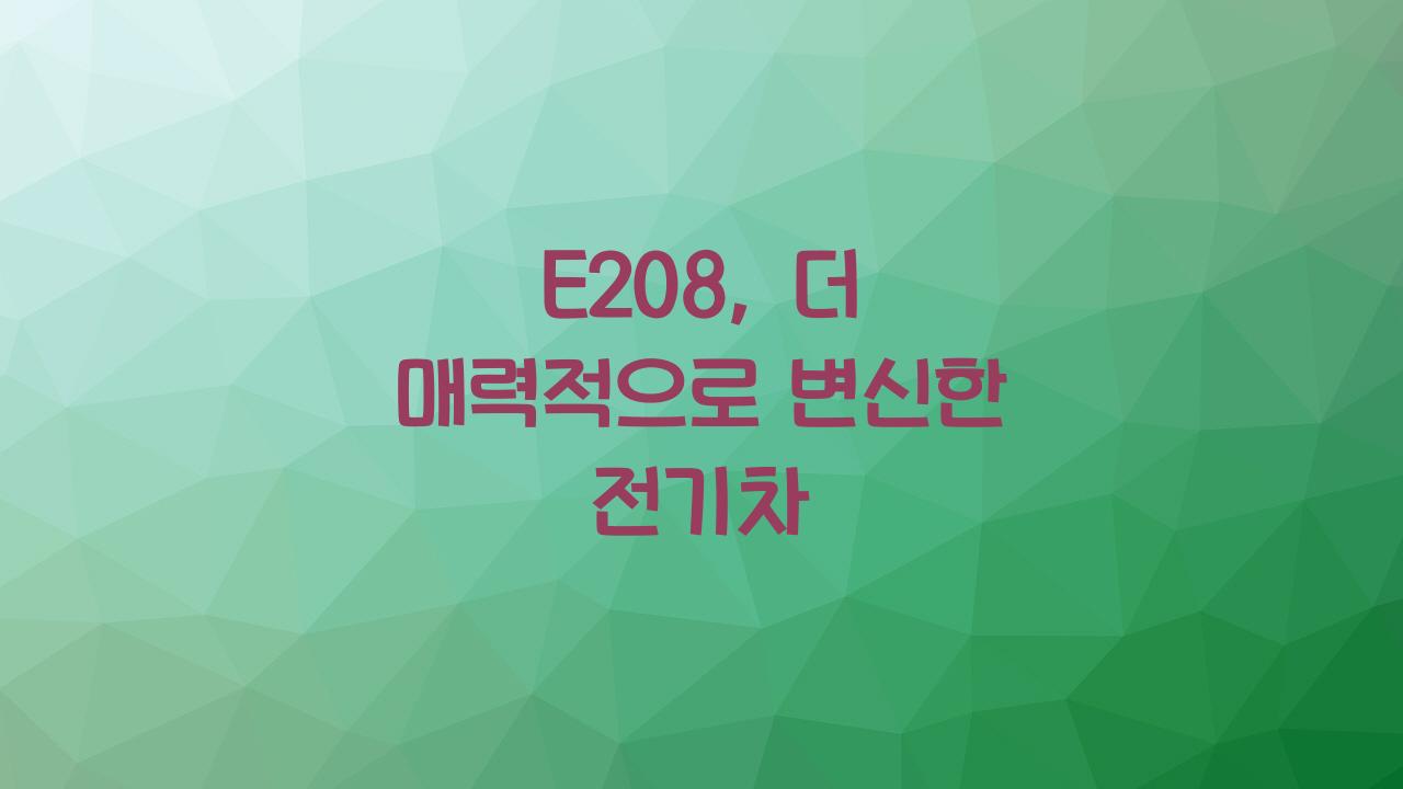 E208