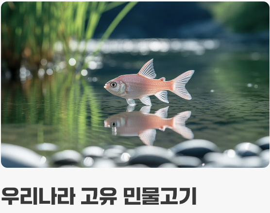 각시붕어&amp;#44; 어떤 물고기인가요?