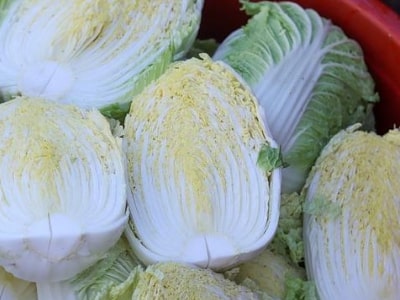 절임배추 양념 레시피