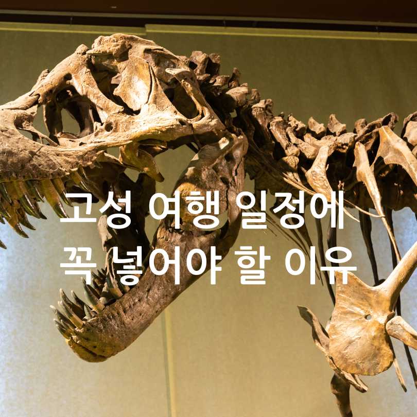 경남 고성 그레이스정원 수국축제