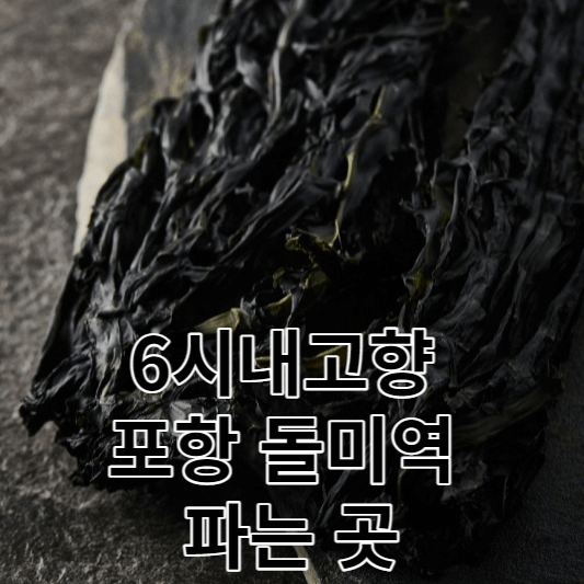 6시내고향 포항 돌미역