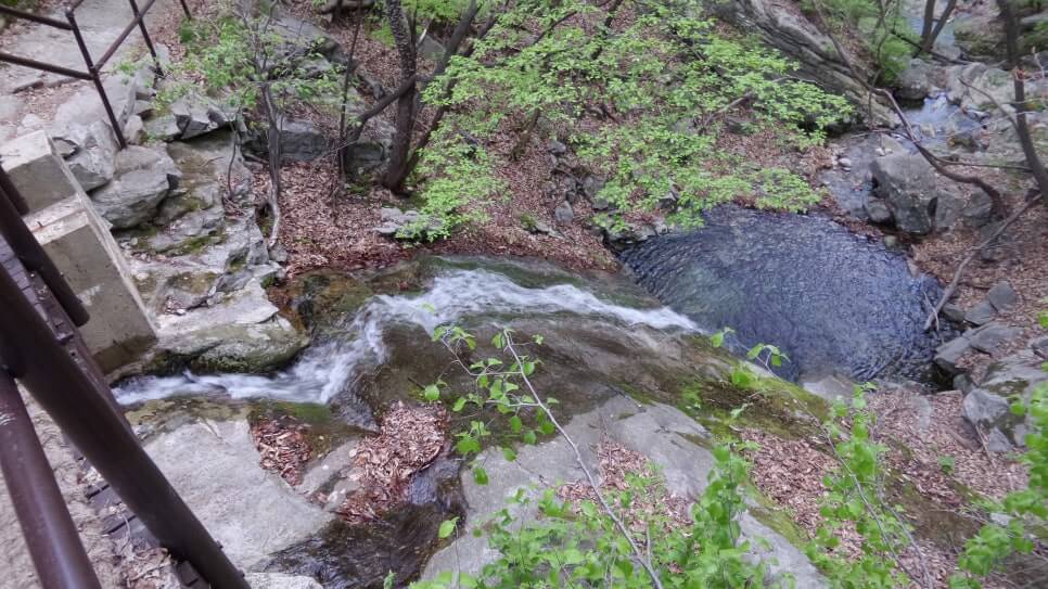 100대 명산 등산하기 서른일곱번째 공주 계룡산 신비와 전설의 봉우리 20여 개 봉우리 계곡 고찰이 어우러진 명산