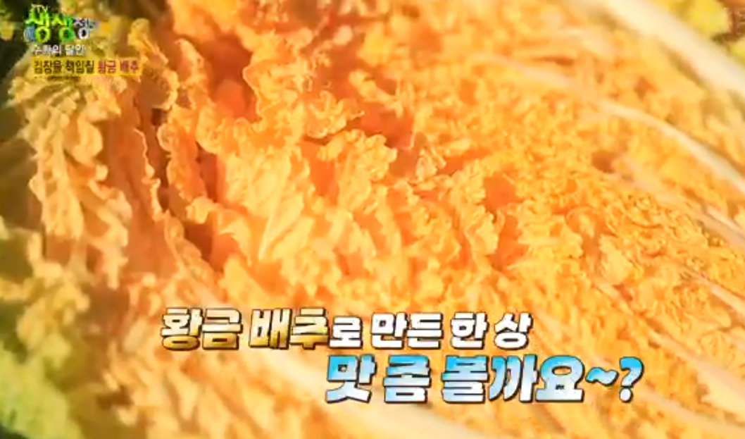 솔바위농장 해남배추