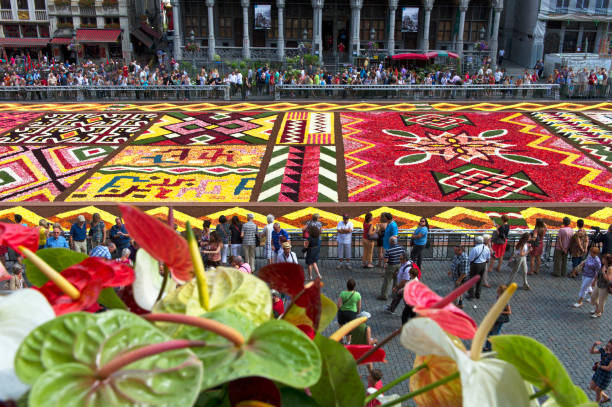 꽃축제 행사중 꽃으로 문양에 맞게 거대 카펫을 연출한 사진입니다.