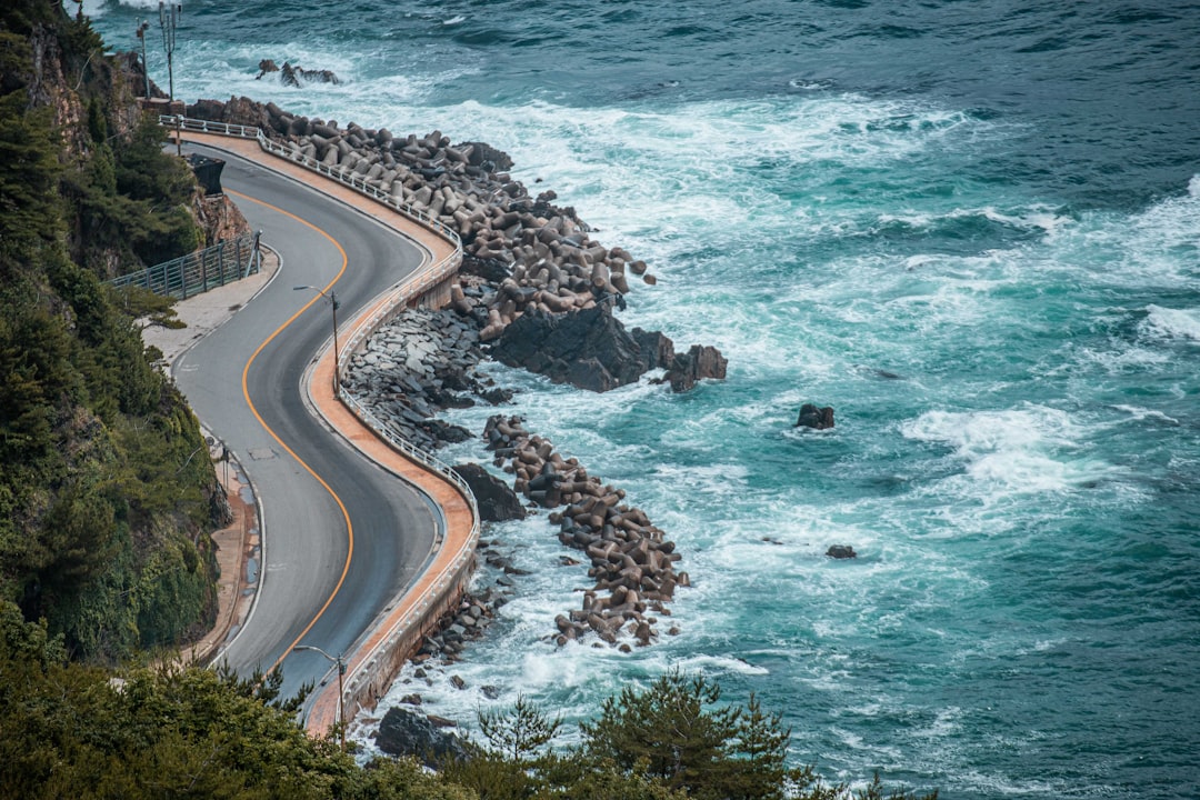 KBO (Korea Baseball Organization)