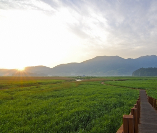 순천 가볼만한곳 베스트10