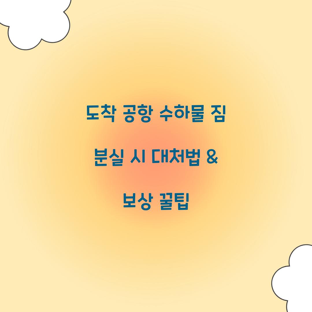 도착 공항 수하물 짐 분실