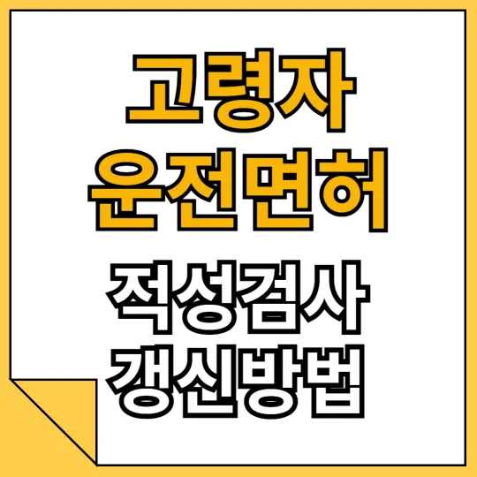고령자 운전면허 적성검사 갱신방법