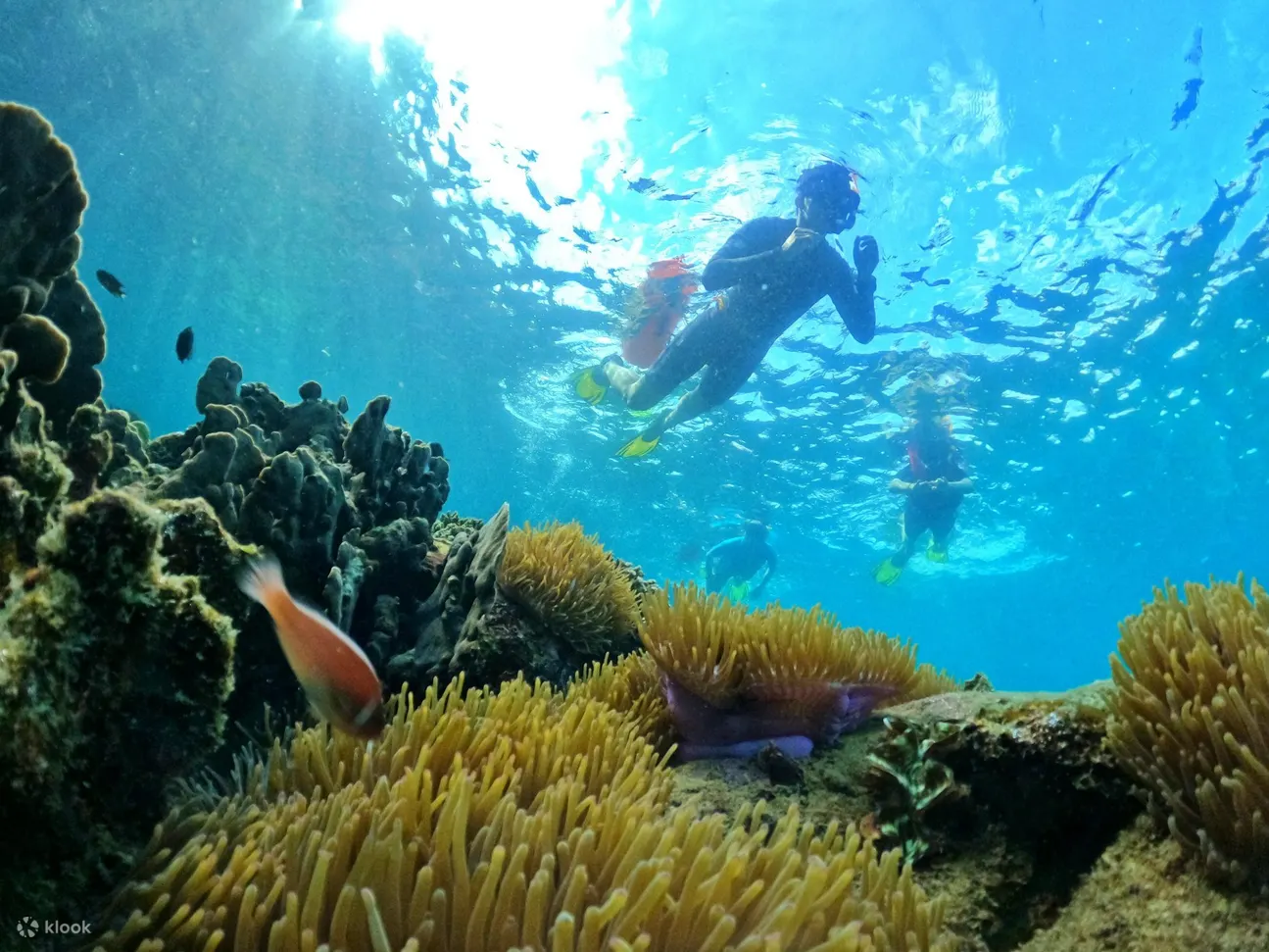 푸꾸옥-스피드보트타고스노클링