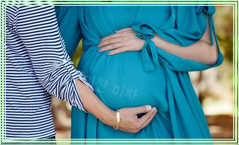 임부복 예쁜곳 6곳 알아볼께요