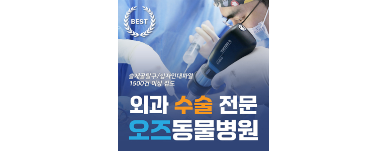 수원 권선구 동물병원