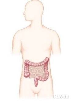 과민성 대장 증후군 완벽가이드