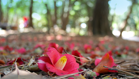 여수 가볼만한곳 베스트10