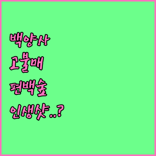 봄꽃 여행 추천 장성 백양사 고불매와..