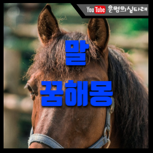 썸네일 사진