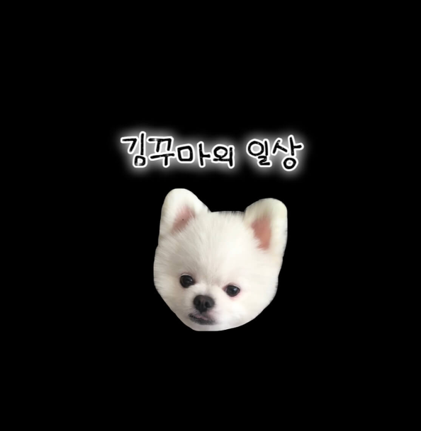 꾸마의_일상