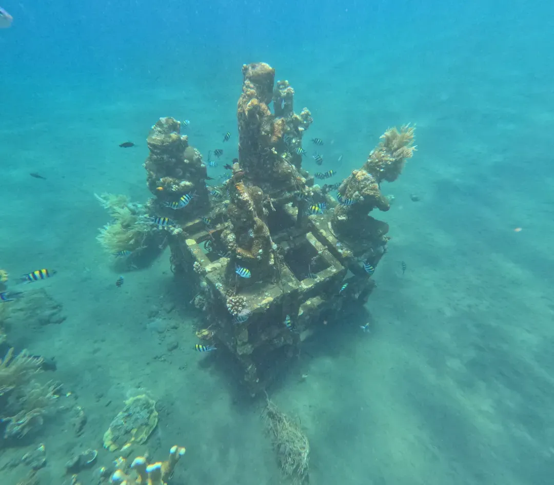 아메드수중사원