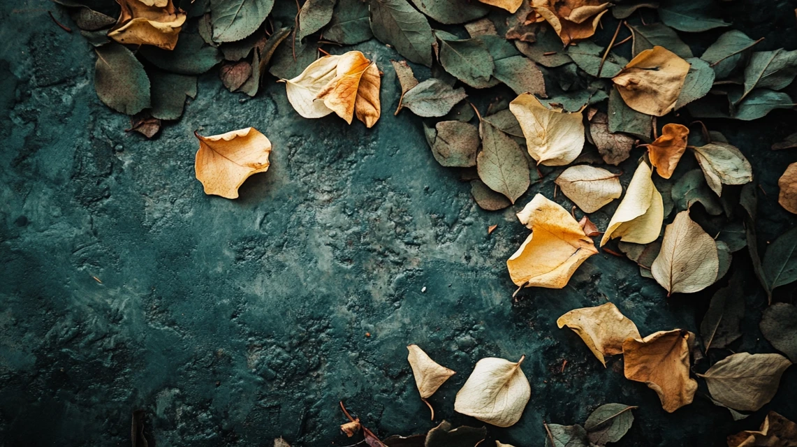 국가장학금 9구간18