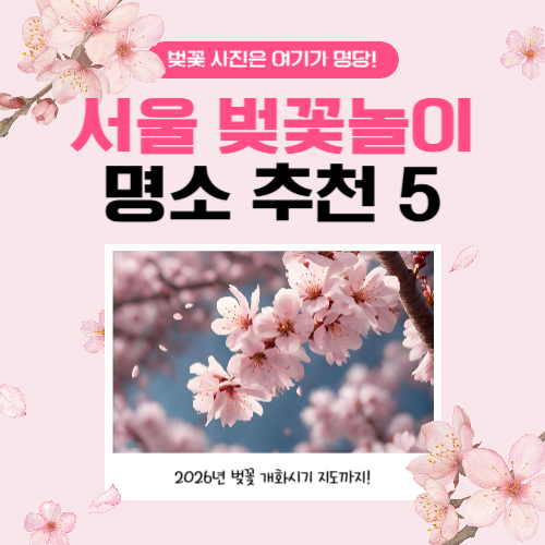 서울 벚꽃 명소에 관한 포스팅