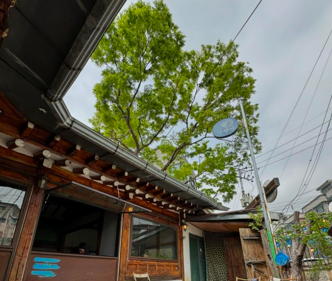 슬로카페달팽이