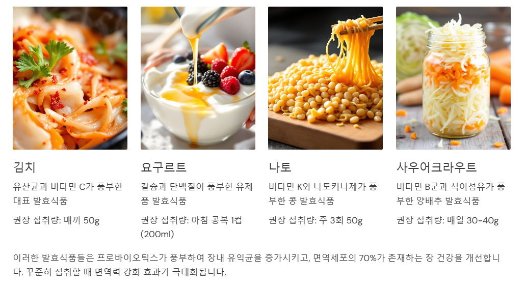 장 건강을 위한 발효식품