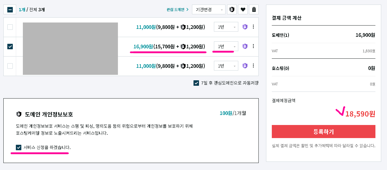 도메인1년 결제