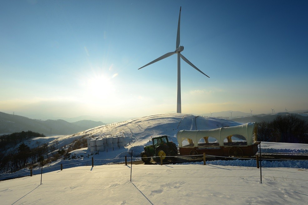 하늘목장 홈페이지