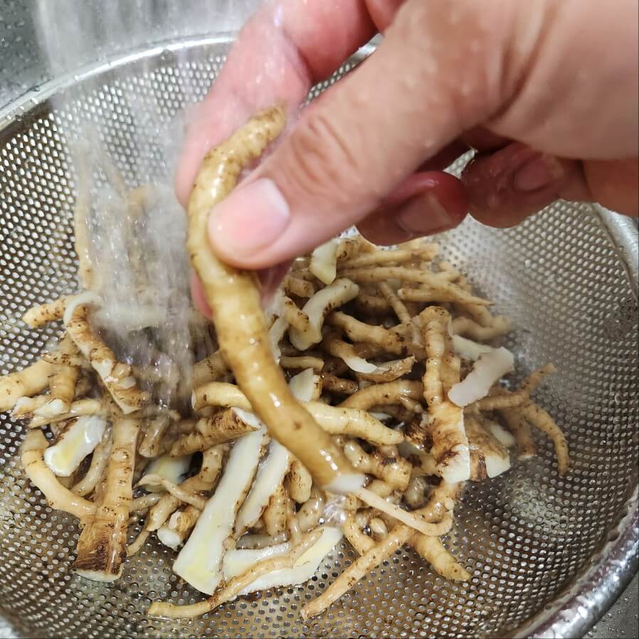 나물 데치기, 냉이 데치기, 옹굿 데치기, 봄동 데치기, 취나물 데치기, 알배추 데치기, 나물데치는 법, 나물 데치기